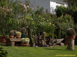 Ansicht 004
